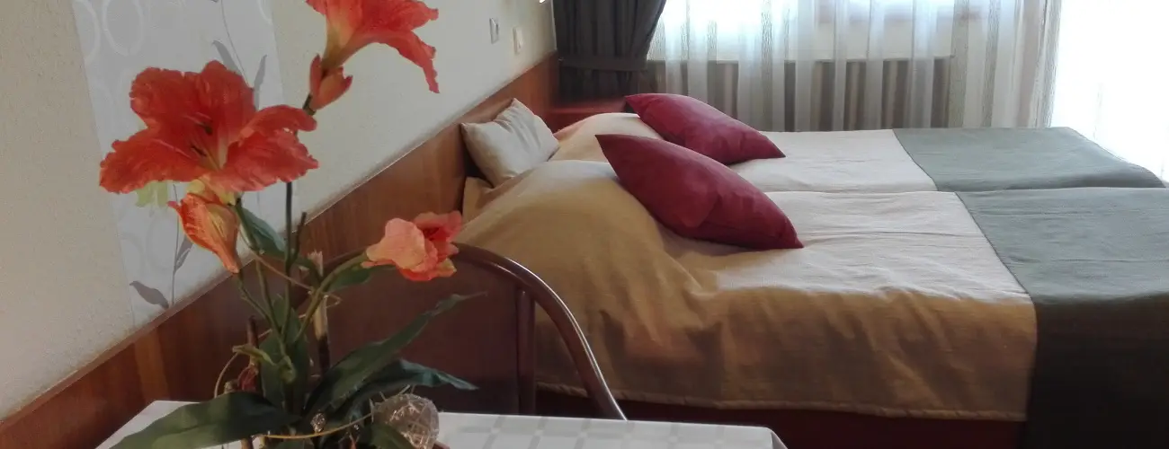 Apartman Hotel Bk, Bkfrd - Napi rak reggelis elltssal (1 jtl)