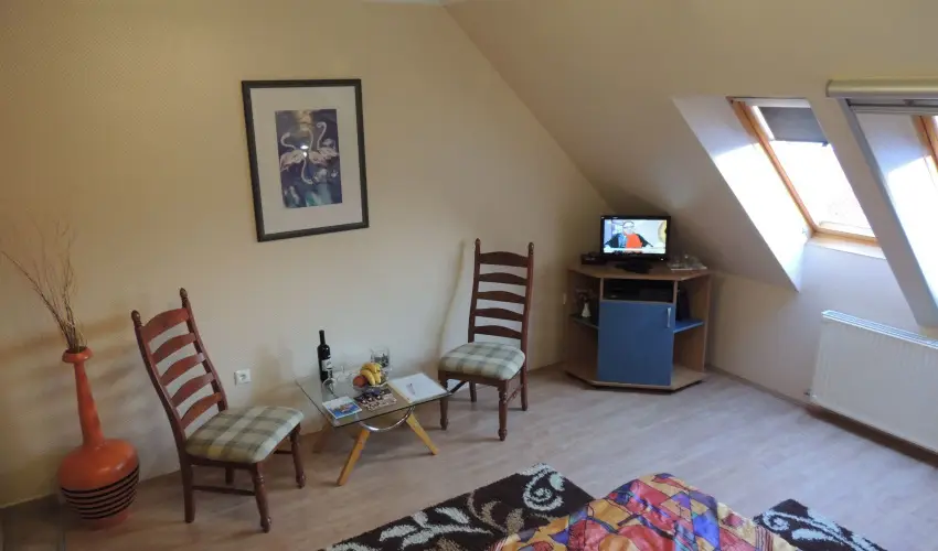 Bajor Panzió Aparthotel Bük, Bükfürdő