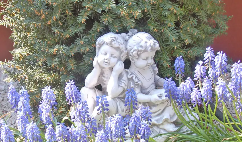 Brigitte Apartman Bk, Bkfrd