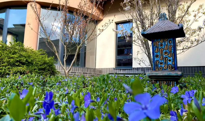 Caramell Premium Resort Bk, Bkfrd