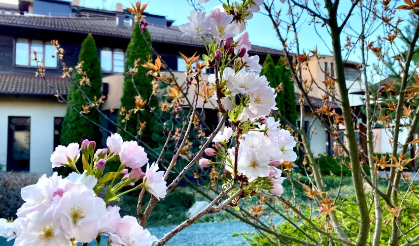 Caramell Premium Resort Bk, Bkfrd