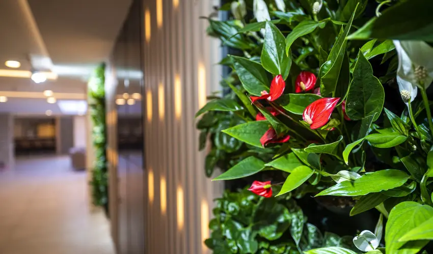 Greenfield Hotel Golf & Spa Bük, Bükfürdő