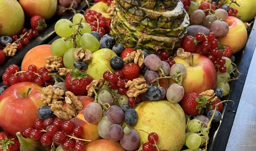 Hotel Szieszta Sopron